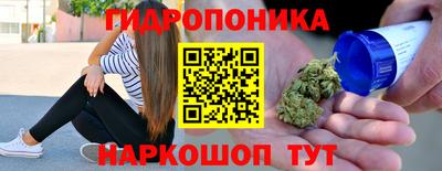 шишки Ливны