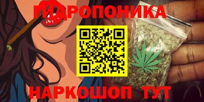 СК Лесосибирск
