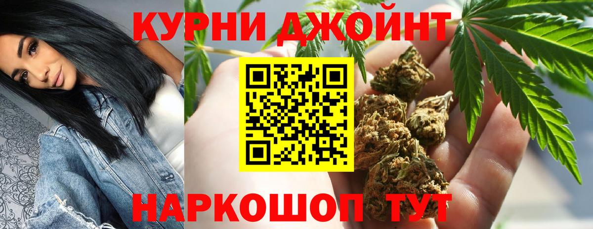 Бошки Шишки план Канск